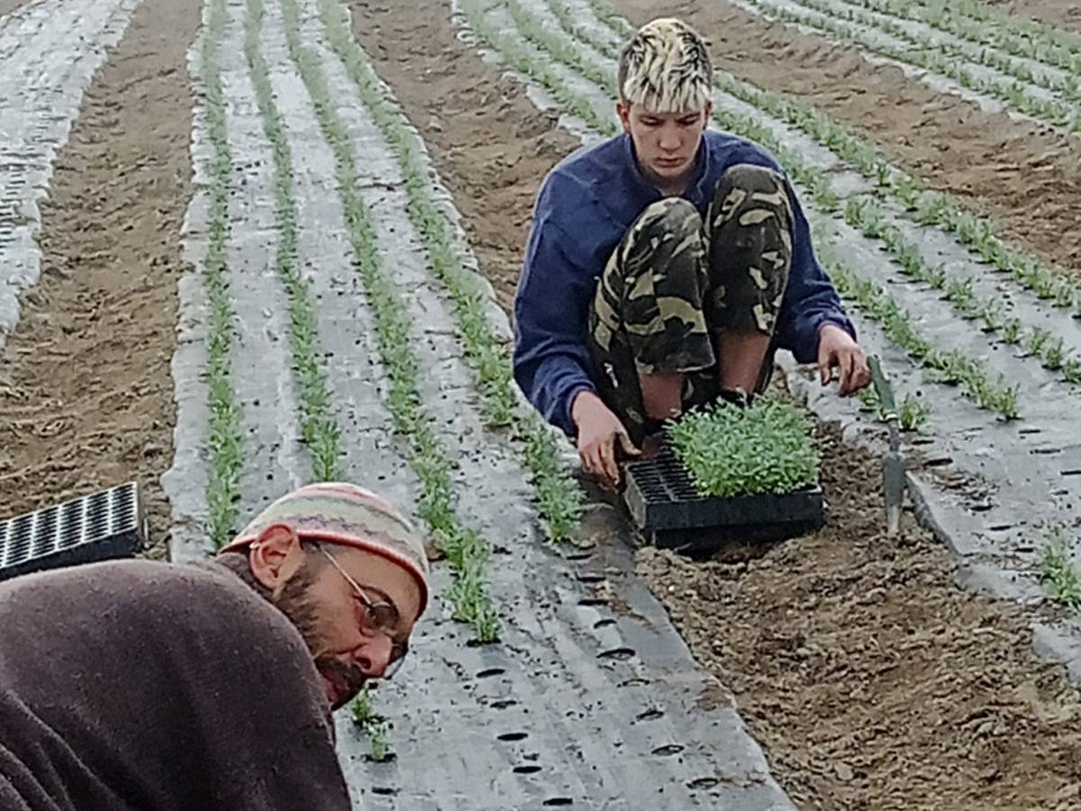 Azienda agricola La&nbsp;Freidio