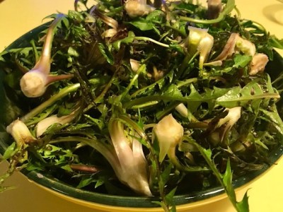 Insalata di tarassaco e insalata di&nbsp;fagioli