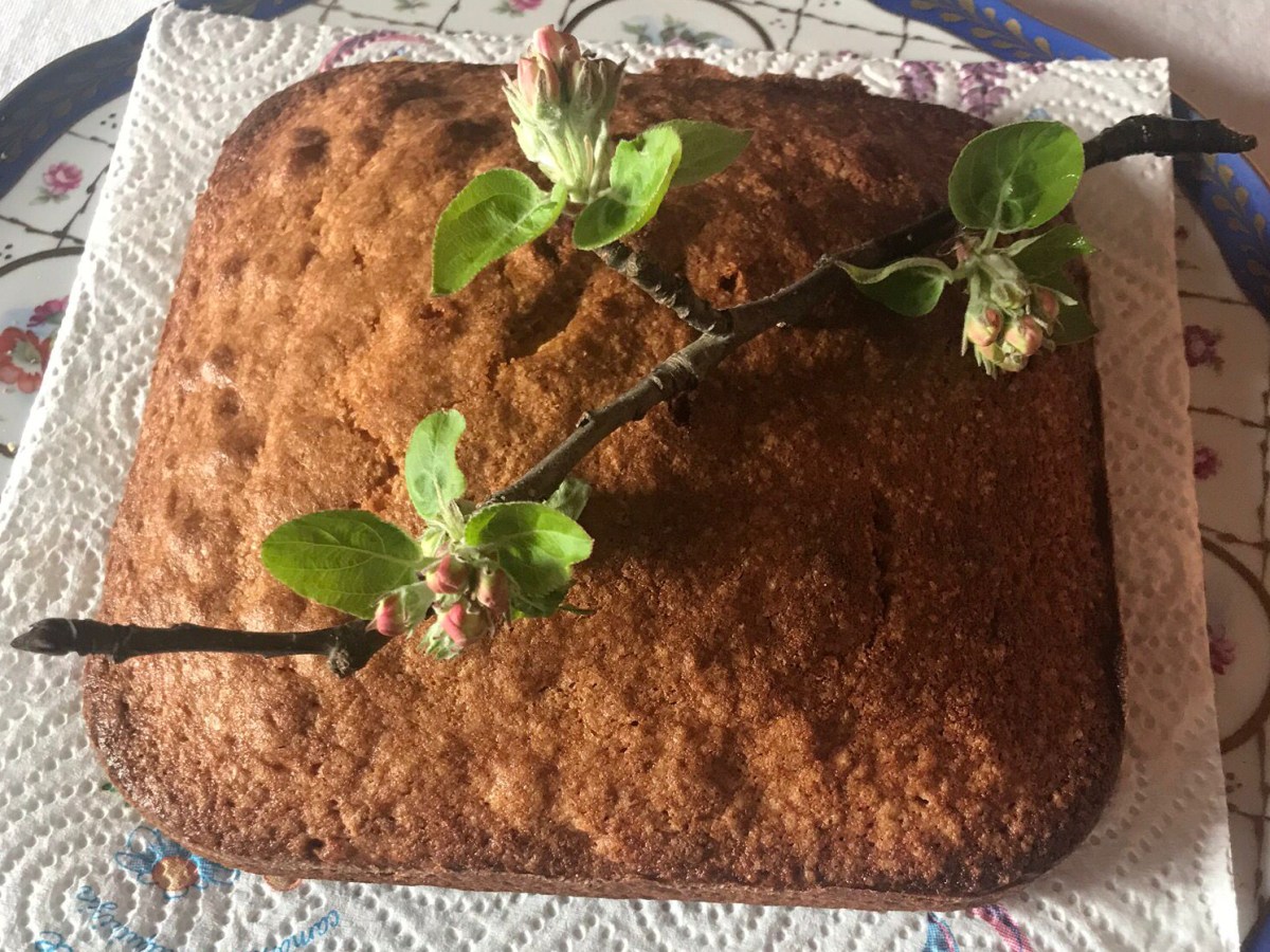 Torta di nocciole