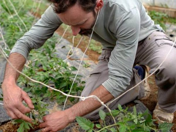 Riesco ancora a essere&nbsp;ottimista