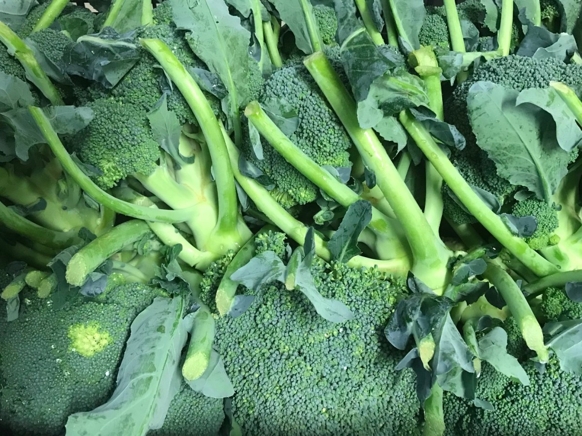 Le ramificazioni del broccolo sono&nbsp;tenere