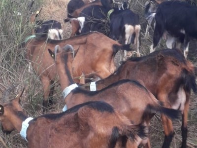 Agroecologia e sovranità&nbsp;alimentare