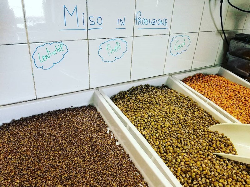 Miso di farro, in polvere e&nbsp;liquido