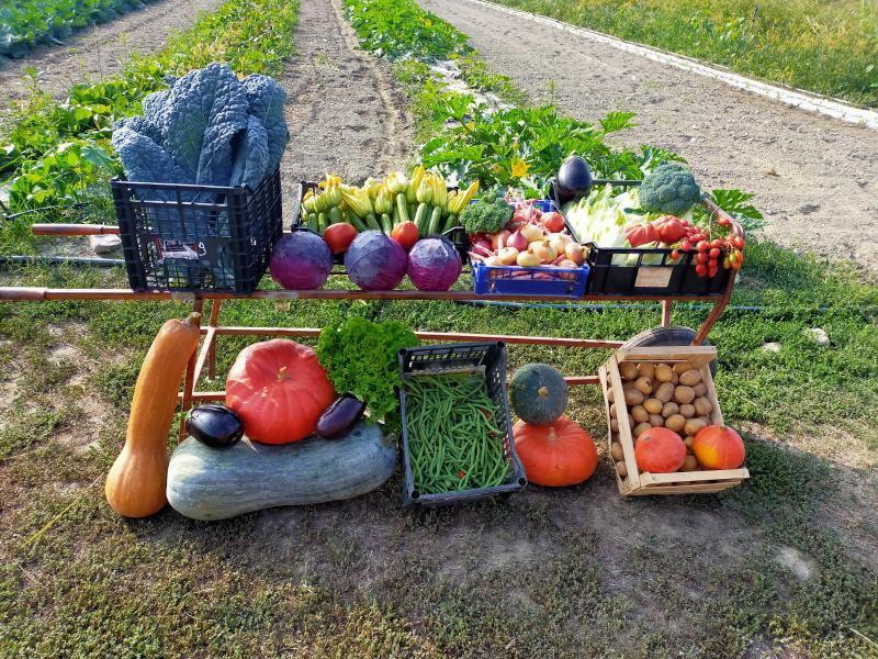 È una stagione&nbsp;bellissima