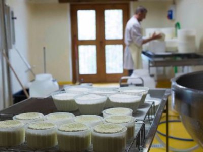 Tutti chiedono latte