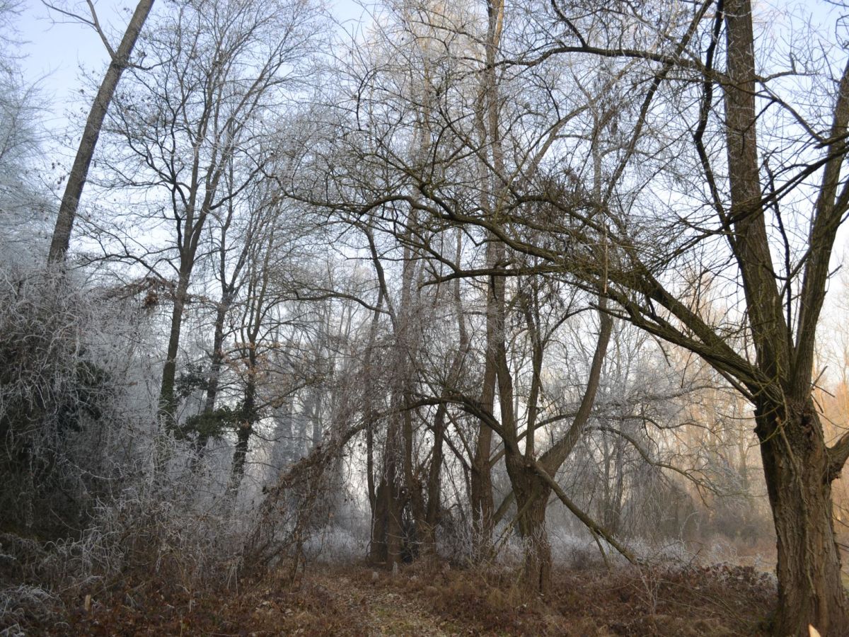 Una sensazione di&nbsp;sospensione