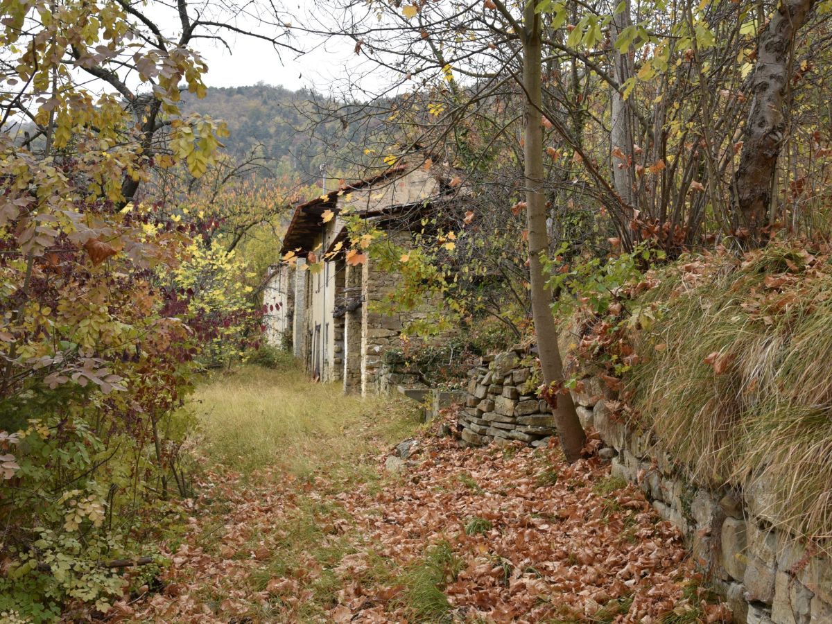 Cercare tutte le foglioline&nbsp;verdi