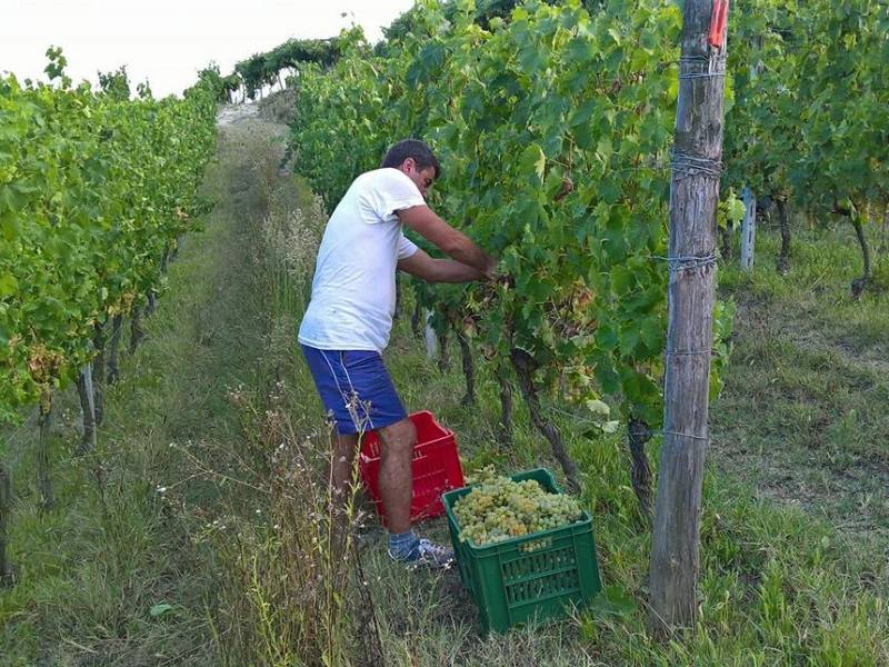 La sorgente di&nbsp;famiglia