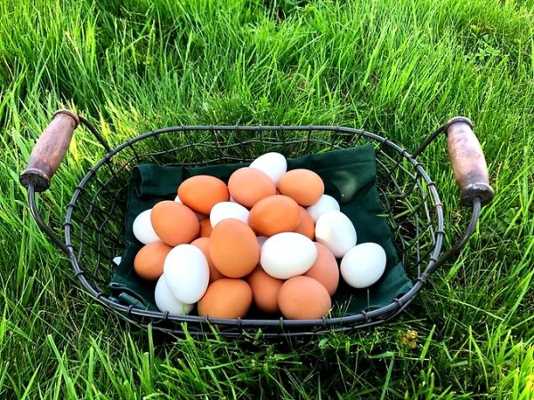 Il sapore delle&nbsp;uova