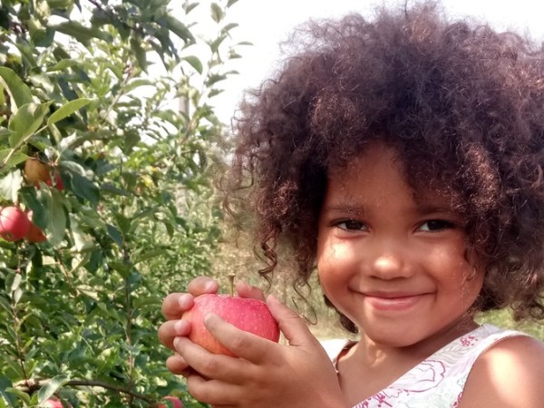 L’estratto, un super concentrato di vitamine e sali&nbsp;minerali