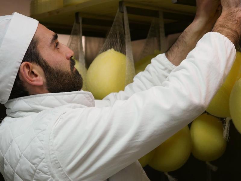 La mia scamorza&nbsp;bio