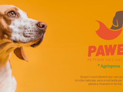 Quale cibo per il tuo&nbsp;cane?