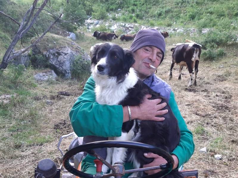 Costa più il fieno dell’oro 