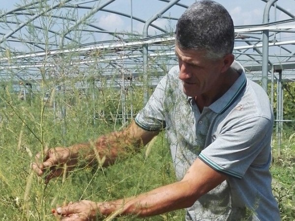 Con il tuo lavoro riesci a ridurre la necessità di&nbsp;acqua?