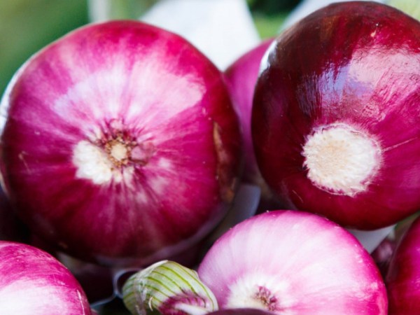 Cipolle fresche Tropea
