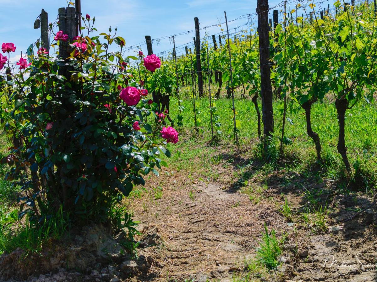 Ci siamo abituati che è normale, ma di normale non c’è&nbsp;nulla