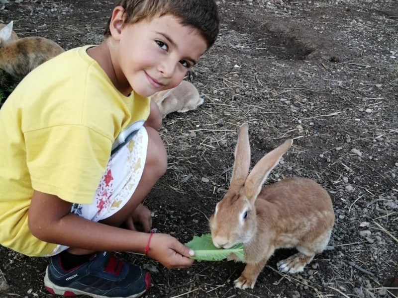 I miei conigli vivono&nbsp;all’aperto