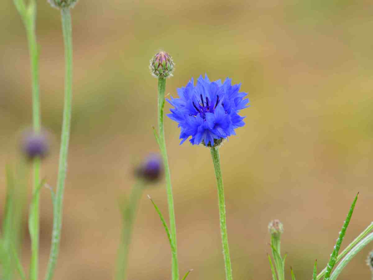 Ogni nostro gesto ha ripercussioni su qualche parte del&nbsp;mondo.
